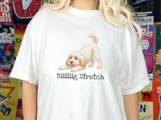 Schnoodle Big Stretch doodle dog shirt - photo 1