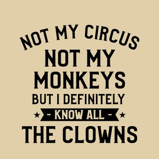 Not My Circus Not My Monkeys But I Definitely Know All The Clowns funny shirt