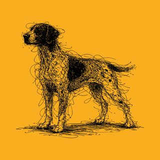 German Shorthaired Pointer Sketch Art Tee - GSP Lover Hunting Dog Gift