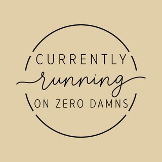 Currently Running On Zero Damns Snarky Shirt Sarcastic Quote Tee