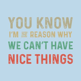 I'm The Reason We Can't Have Nice Things Funny Relatable Tee Shirt