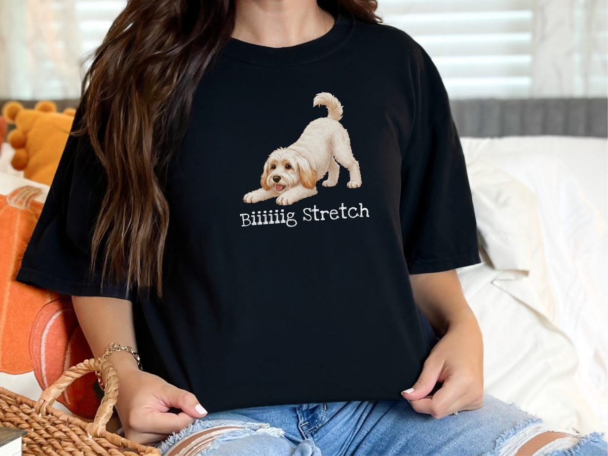 Vintage Wash Schnoodle Big Stretch T-Shirt for Dog Moms & Dads