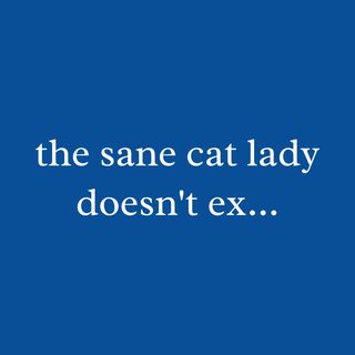 Funny 'Sane Cat Lady Doesn't Exist' Meme T-Shirt for Cat Lovers