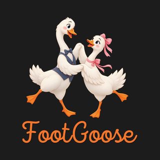 Footgoose Movie Parody T-Shirt Vintage Geese Shirt Silly Goose