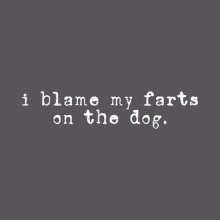 Funny 'I Blame My Farts On The Dog' Tee for Witty Pet Owners
