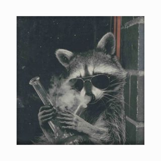 Raccoon Hitting A Bong - Funny Stoner 420 Trash Panda T-Shirt
