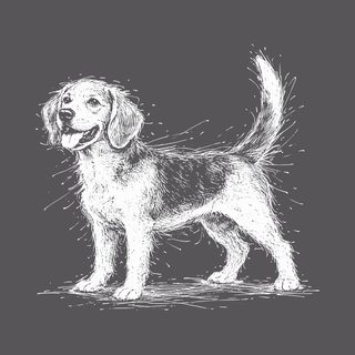 Beagle Sketch Art Shirt for Dog Lovers - Hound Dog Tee Gift