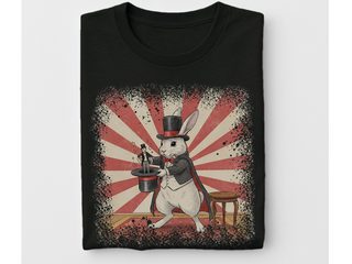 Rabbit Magician - photo 8