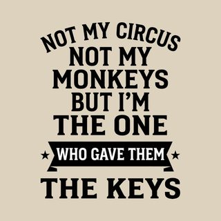 Not My Circus Not My Monkeys But I'm The One Who Gave Them The Keys funny shirt