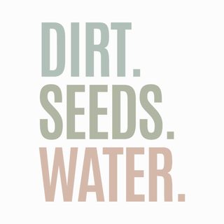 Dirt. Seeds. Water. Plant Parent Gardening Basics Green Thumb T-Shirt