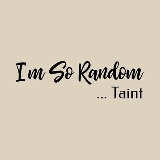 I'm So Random Taint Adult Humor Vulgar Raunchy Gag Gift Tee