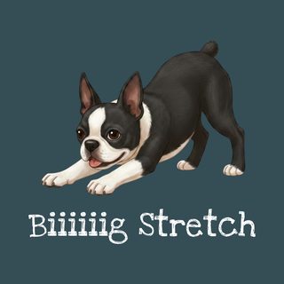 Boston Terrier Big Stretch Comfort Colors T-Shirt - Funny Dog Lover Tee