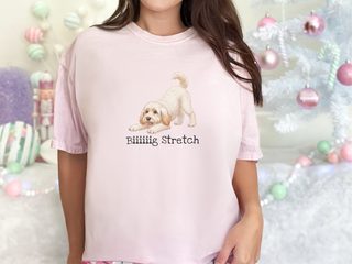 Schnoodle Big Stretch doodle dog shirt - photo 3