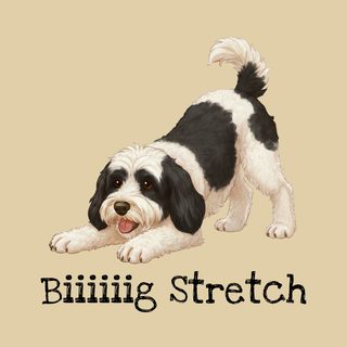 Sheepadoodle Big Stretch Comfort Colors T-shirt - Doodle Dog Art Gift