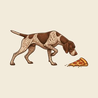 german shorthaired pointer shirt German Pointer Pizza Point