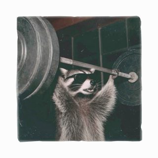 Raccoon Bodybuilding Funny Strongman Trash Panda Weightlifting Tee