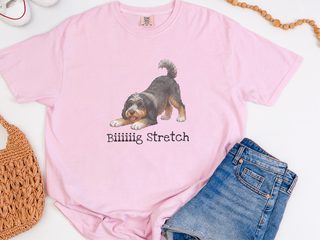 Bernedoodle Big Stretch doodle dog shirt - photo 4