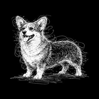 Pembroke Welsh Corgi Sketch Art Tee Loaf Dog Short Legs Gift