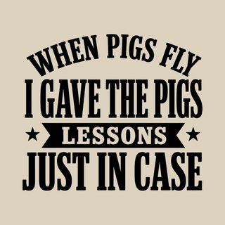 When Pigs Fly…i Gave The Pigs Lessons, Just In Case Funny Tee