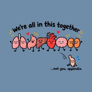 Cute Organs Not You Appendix Anatomy Shirt - Funny Medical Gift