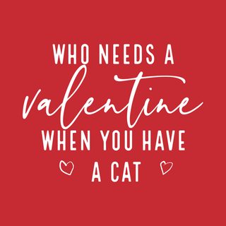 Who Needs A Valentine? Funny Cat Lover Tee for Valentine's Day Gifts