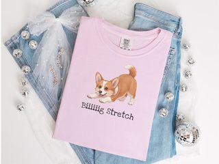Corgi Big Stretch doodle dog shirt - photo 4