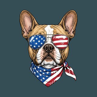 Patriotic French Bulldog Sunglasses Comfort Colors Frenchie Shirt