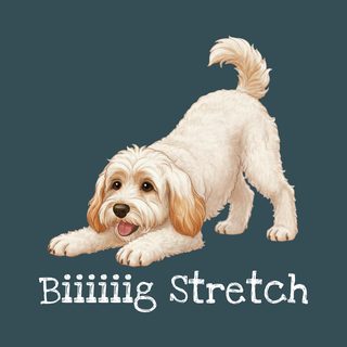 Vintage Wash Schnoodle Big Stretch T-Shirt for Dog Moms & Dads