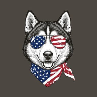 Patriotic Husky Sunglasses Bandana Comfort Colors Siberian Husky Tee