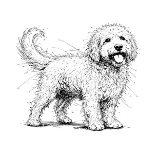 Golden Doodle Sketch Art Print for Doodle Lovers & Dog Moms