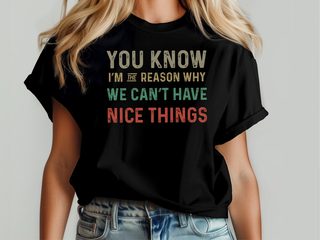 You know, I’m the reason we can’t have nice things. funny shirt - photo 4