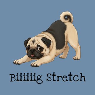 Funny Fawn Pug Big Stretch Comfort Colors T-Shirt for Dog Lovers