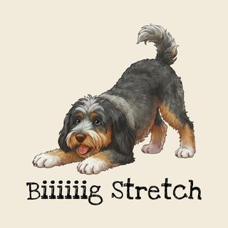 Bernedoodle Big Stretch T-Shirt: Adorable Dog Lover Pigment-Dyed Tee