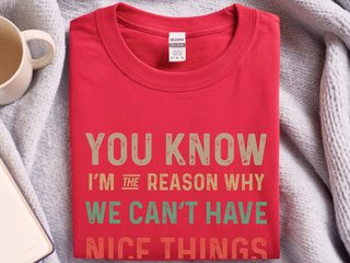 You know, I’m the reason we can’t have nice things. funny shirt - photo 1