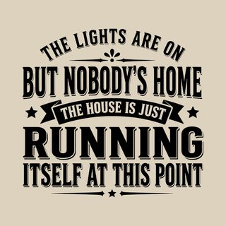 Lights On Nobody's Home Tee. House Running Itself Funny Adult Shirt.