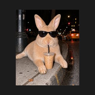 Cool Bunny Sunglasses Iced Coffee Shirt - Funny Rabbit Shirt