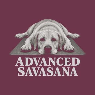 Namaste Shirt Advanced Savasana Labrador Dog Yoga Teacher Tee