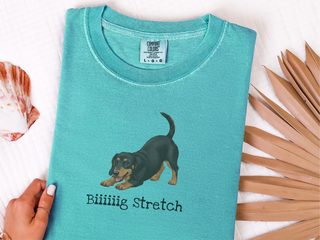 Dachshund Play Big Stretch doodle dog shirt - photo 8
