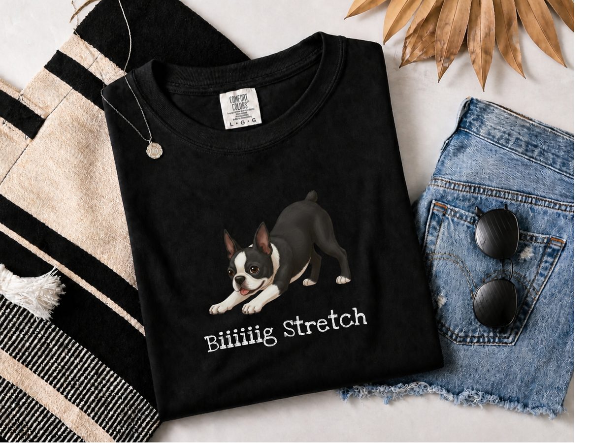 Boston Terrier Big Stretch Comfort Colors T-Shirt - Funny Dog Lover Tee