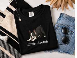 Boston Terrier Big Stretch doodle dog shirt - photo 2