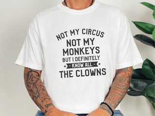 Not My Circus Not My Monkeys But I Definitely Know All The Clowns funny shirt - photo 1