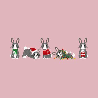 Christmas Bunny Rabbit Lineup Comfort Colors Holiday Pet Shirt