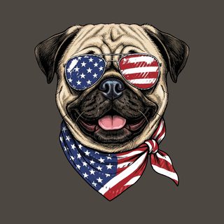 Patriotic American Flag Pug Comfort Colors Fourth of July Dog Tee