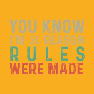 The Reason Rules Were Made: Rebel Outlaw Funny Sarcastic Tee