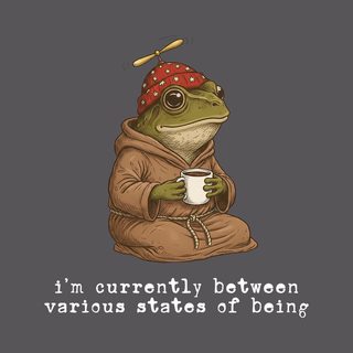 Existential Frog Between States of Being Weirdcore Absurdist Humor Tee