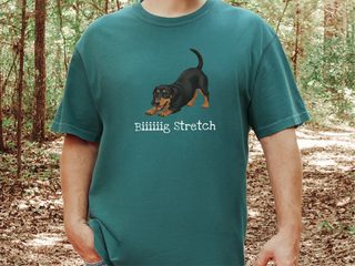 Dachshund Play Big Stretch doodle dog shirt - photo 5
