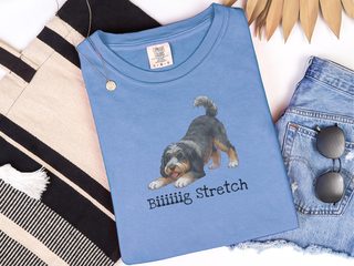 Bernedoodle Big Stretch doodle dog shirt - photo 6