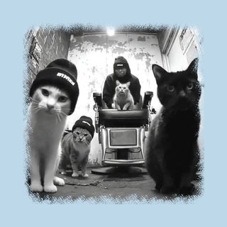 Cat Barbershop Feline Gang Urban Street Cat Life Funny Grooming Tee