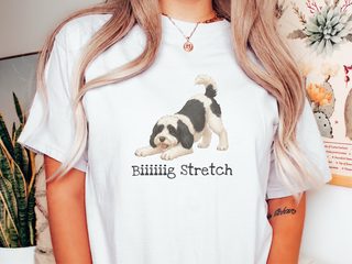 Sheepadoodle Big Stretch doodle dog shirt - photo 1