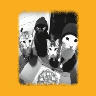 Hungry Cat Squad Pizza Thief Feline Doorbell Camera Funny Tee